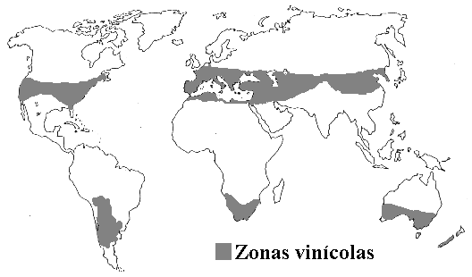 Planisferio de las principales zona vinicolas